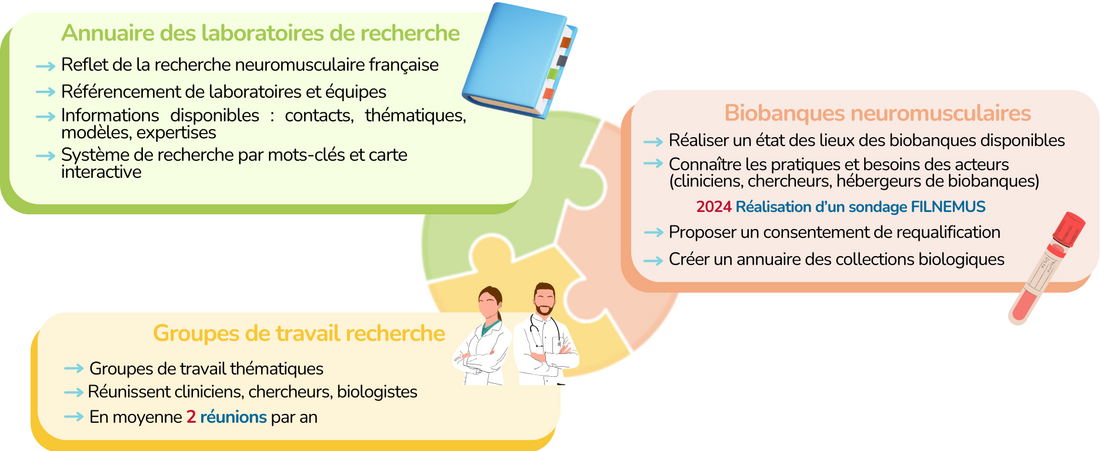 Les actions de la commission recherche Filnemus