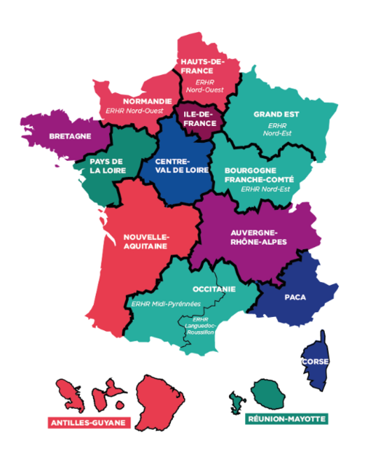 Carte du réseau des équipes relais des Handicaps rares