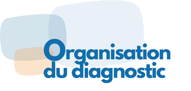 lien vers l' Organisation du diagnostic